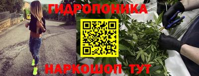 гидра Усть-Илимск