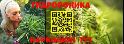 гидра Усть-Илимск