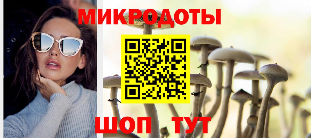 закладки  Псилоцибиновые грибы мухоморы  Соль-Илецк  Вход с VPN  Псилоцибиновые грибы Magic Shrooms 