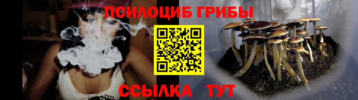 Галлюциногенные грибы Psilocybe Соль-Илецк